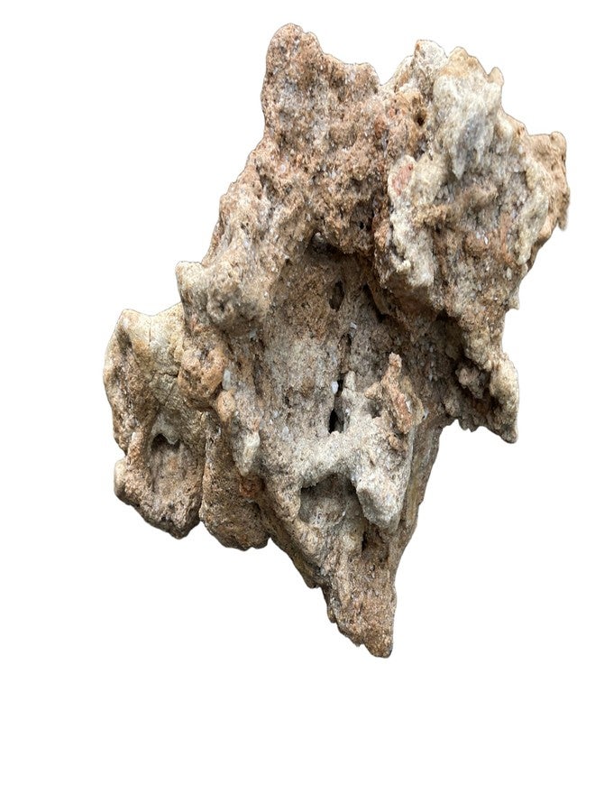 RUKDA® Natural Coral-Shaped Limestone Rock for Aquarium & Terrarium | pH Buffering Calcium Carbonate Stone | Ideal for Cichlids, Clownfish, Gobies & Reef Aquascape (Large) - Image 5